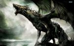 dragon-6975-1920x1200.jpg