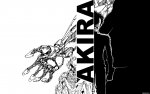 [AnimePaper]wallpapers_Akira_swordfish-II(1.6)_1920x1200_59289_.jpg
