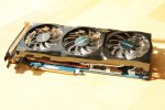 IMG_7566.JPG