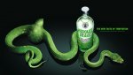 Absolut-Vodka.jpg