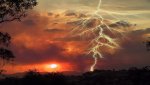 best-lightning-wildlife-photography.jpg