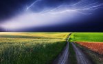 lightning_lovely_nature_nice_pretty_red_red_flowers_road-1920x1200.jpg