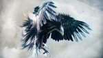 2560x1440-Dizorb-Northern-Eagle-HD-Wallpaper.jpg