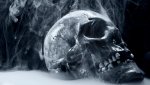 skullsmoking2560x1440wallpaper6204.jpg