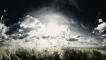 wallpaper-1095666.jpg