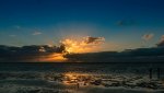 P9090387-2.jpg