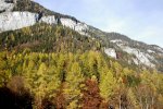 _DSC431_2.jpg