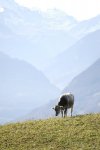 _DSC4282_2.jpg