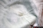 DSC_3987.JPG