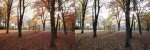 Herbstlaub.jpg