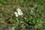 P1010099(1).jpg