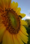 1-DSC05430.JPG