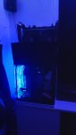 IMG_20200724_000219_1.jpg
