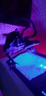 20201016_204026.jpg