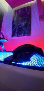 20201016_204048.jpg