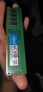16029738894866485396006301100254.jpg
