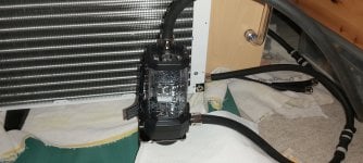 20201024_170003.jpg