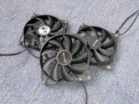 IMG_20201024_134903.jpg