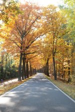 unbenannt-0812-kl.jpg