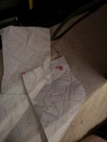 IMG_20201025_172445.jpg