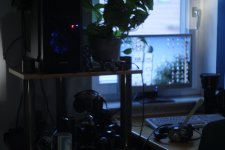 02220232.JPG