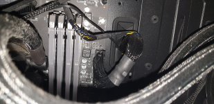 20201101_122337.jpg