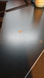 20201019_161152.jpg