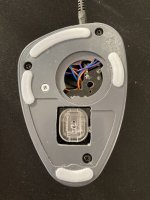 IMG_1340.jpeg
