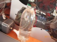 KIF_0202.JPG