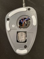 IMG_1340.jpeg