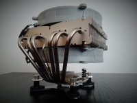 IMG_20201117_130549.jpg