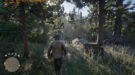 RDR2_2020_11_28_13_46_01_334.jpg