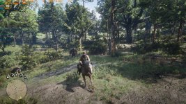 RDR2_2020_11_28_14_01_48_649.jpg