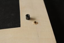 IMG_3882.JPG