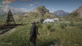 RDR2_2020_11_29_21_46_43_709.jpg