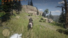 RDR2_2020_12_02_07_26_13_011.jpg
