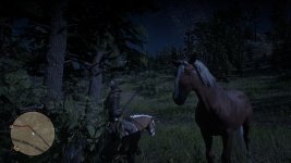 RDR2_2020_12_09_00_37_41_205.jpg