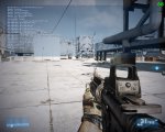 bf3.jpg