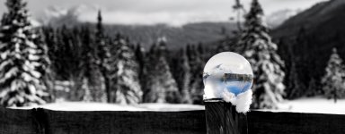 IMG_6985.jpg