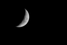 IMG_5330.jpg
