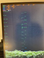 2ECD61F3-5A74-4330-AF99-5104F2D73566.jpeg