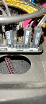 IMG_20201229_072352.jpg