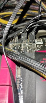 IMG_20201229_072407.jpg