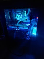 Bugs Machine.jpg