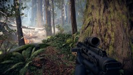 battlefront-ii-performance-terrain-Groundcover-Ultra.jpg