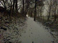 IMG_20210116_220349.jpg