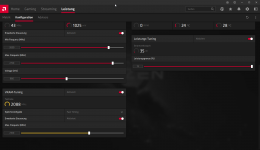 2021-02-09 21_28_36-Radeon Software.png