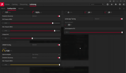 2021-02-10 17_18_16-Radeon Software.png