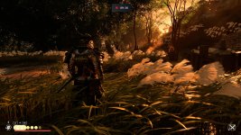 Ghost of Tsushima_20210206201458.jpg
