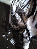 IMG_20210216_055251322.jpg